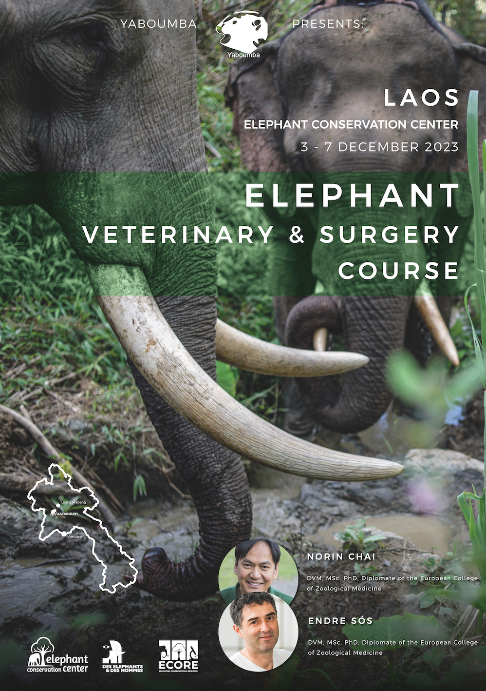 ELEPHANT MEDICINE & SURGERY - Laos 2023