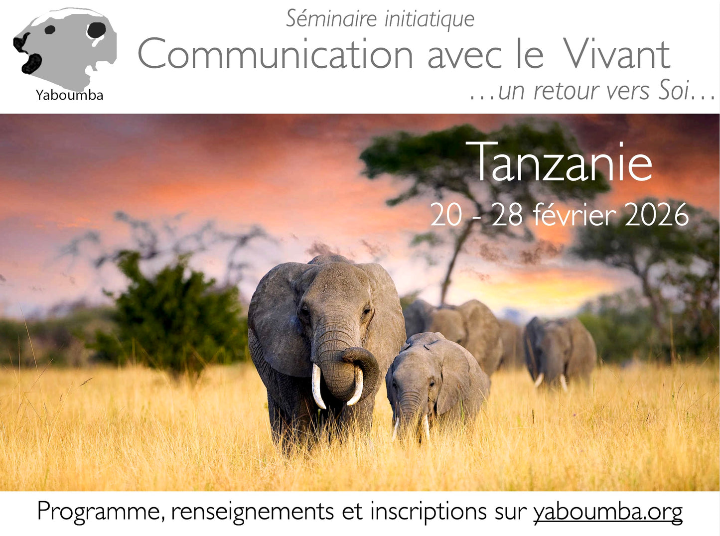 2026 - Séminaire initiatique Tanzanie - SINGLE - COMPLET
