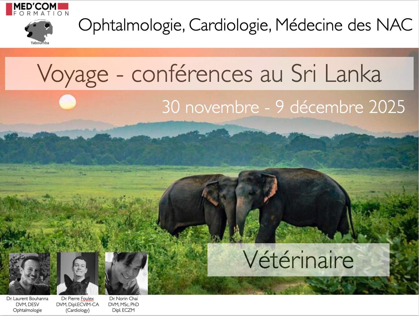 2025 - Voyage - Conférences Sri Lanka - vétérinaire
