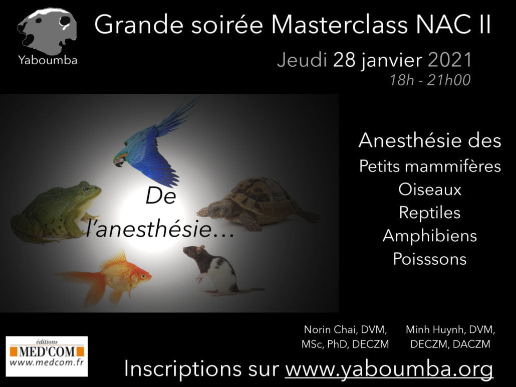 Replay Masterclass 2