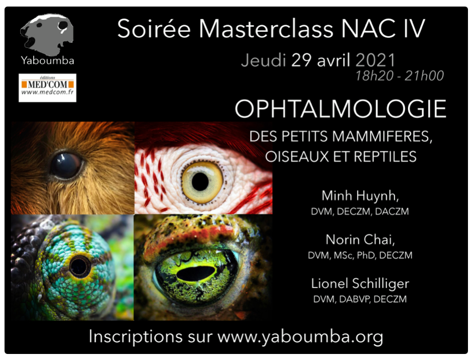 Replay Masterclass 4