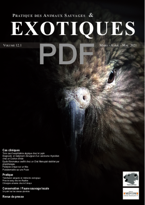 2021.Volume 12 de PASE en PDF (4 numéros)