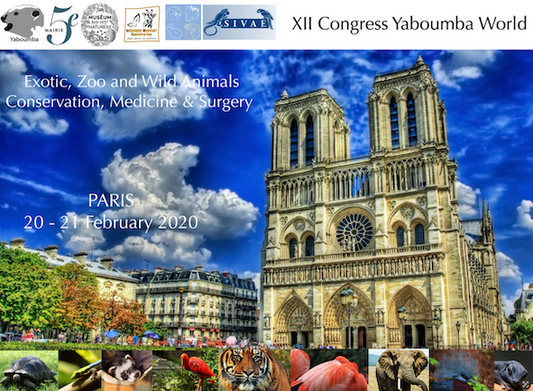 Proceedings Congress 2020
