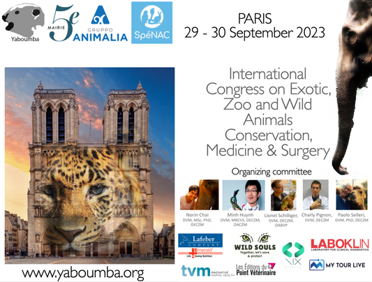 Proceedings Congress 2023