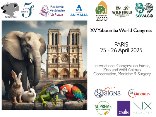Proceedings Congress 2025