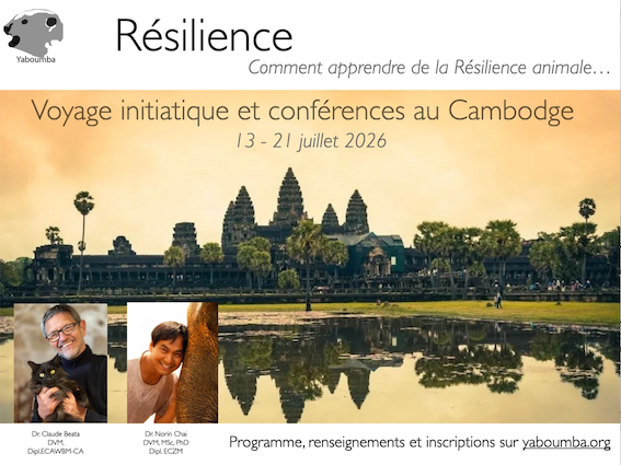 2026 - Voyage Conférences Cambodge