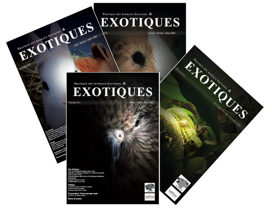 2021.Volume 12 de PASE en PDF (4 numéros)