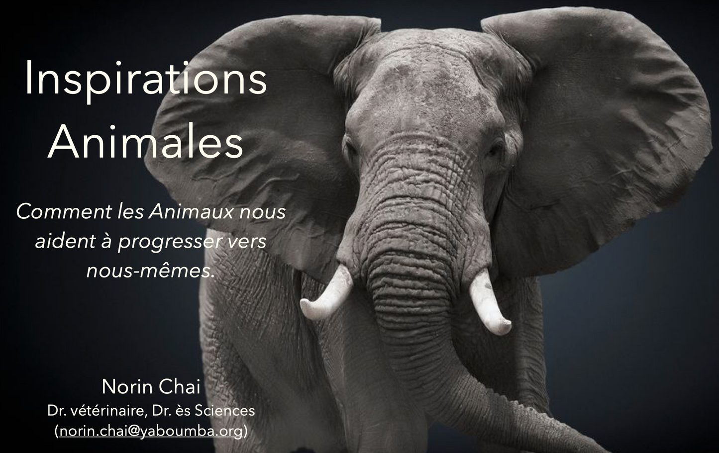 Conférence Sagesse Animale