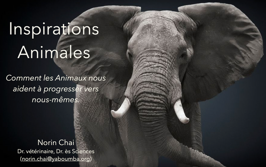 Conférence Sagesse Animale