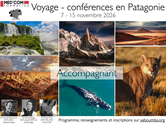 2026 - Voyage - Conférences Patagonie - accompagnant