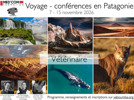 2026 - Voyage - Conférences Patagonie - vétérinaire