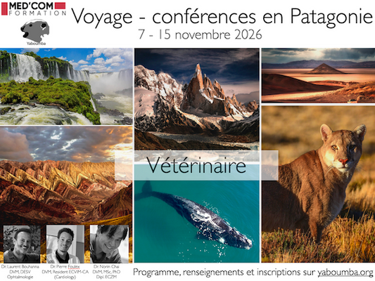 2026 - Voyage - Conférences Patagonie - vétérinaire